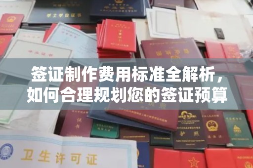 浮山签证制作费用标准全解析，如何合理规划您的签证预算？